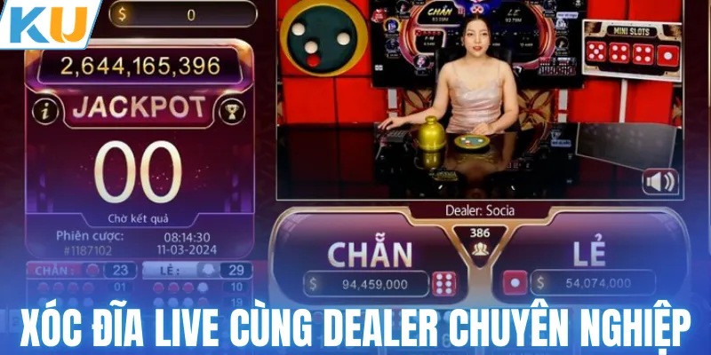 Trải nghiệm xóc đĩa live cùng dealer chuyên nghiệp